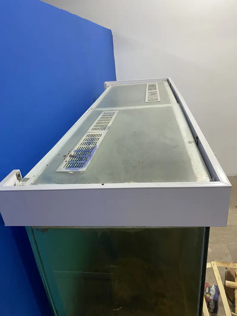 Beautiful fish aquarium tank — photo 5