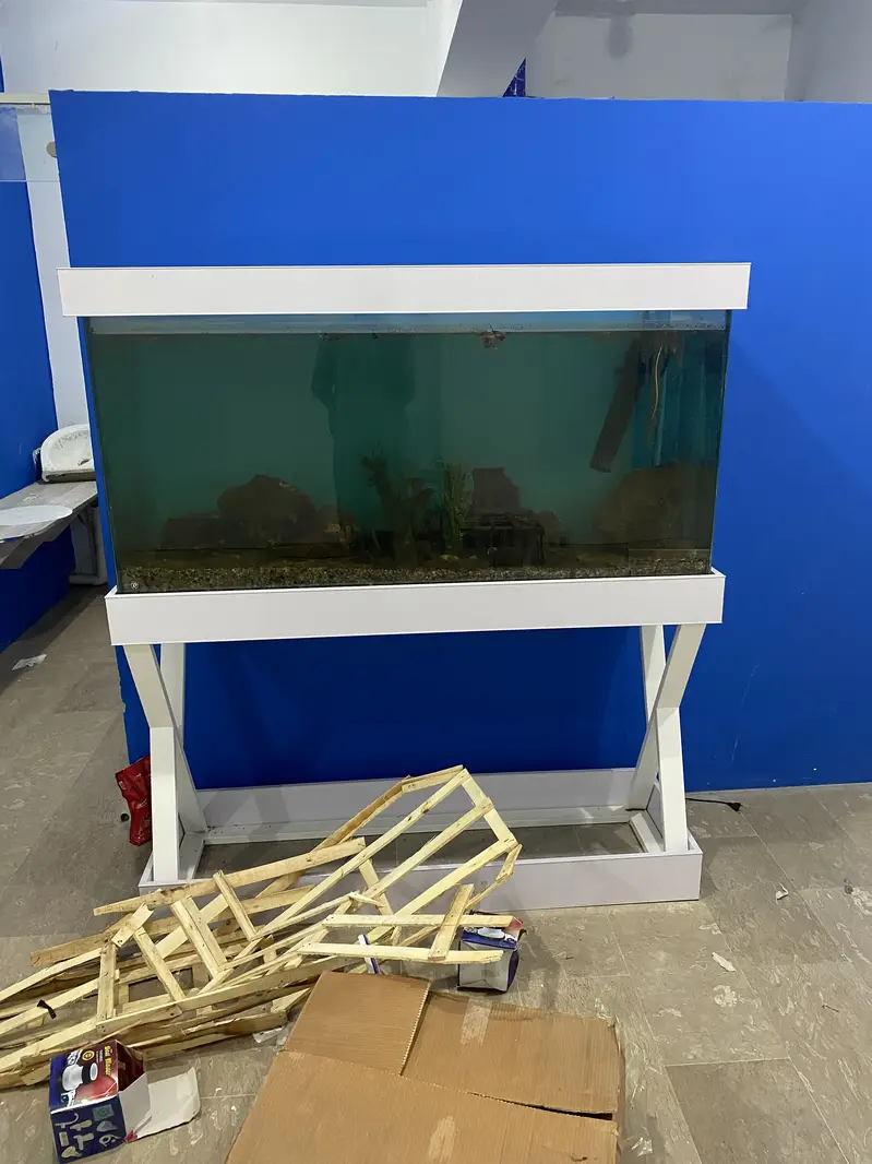 Beautiful fish aquarium tank — photo 6