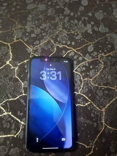 Apple iPhone 11 WATERPACK