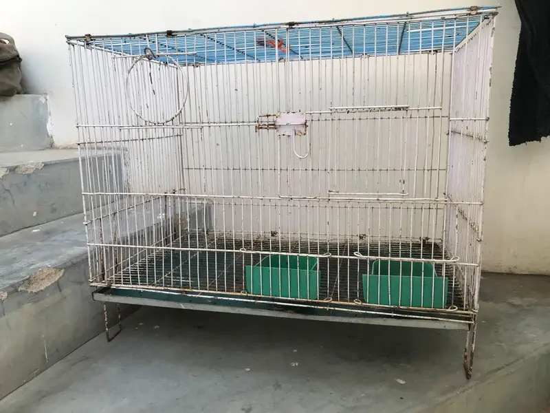 metal cage — photo 2