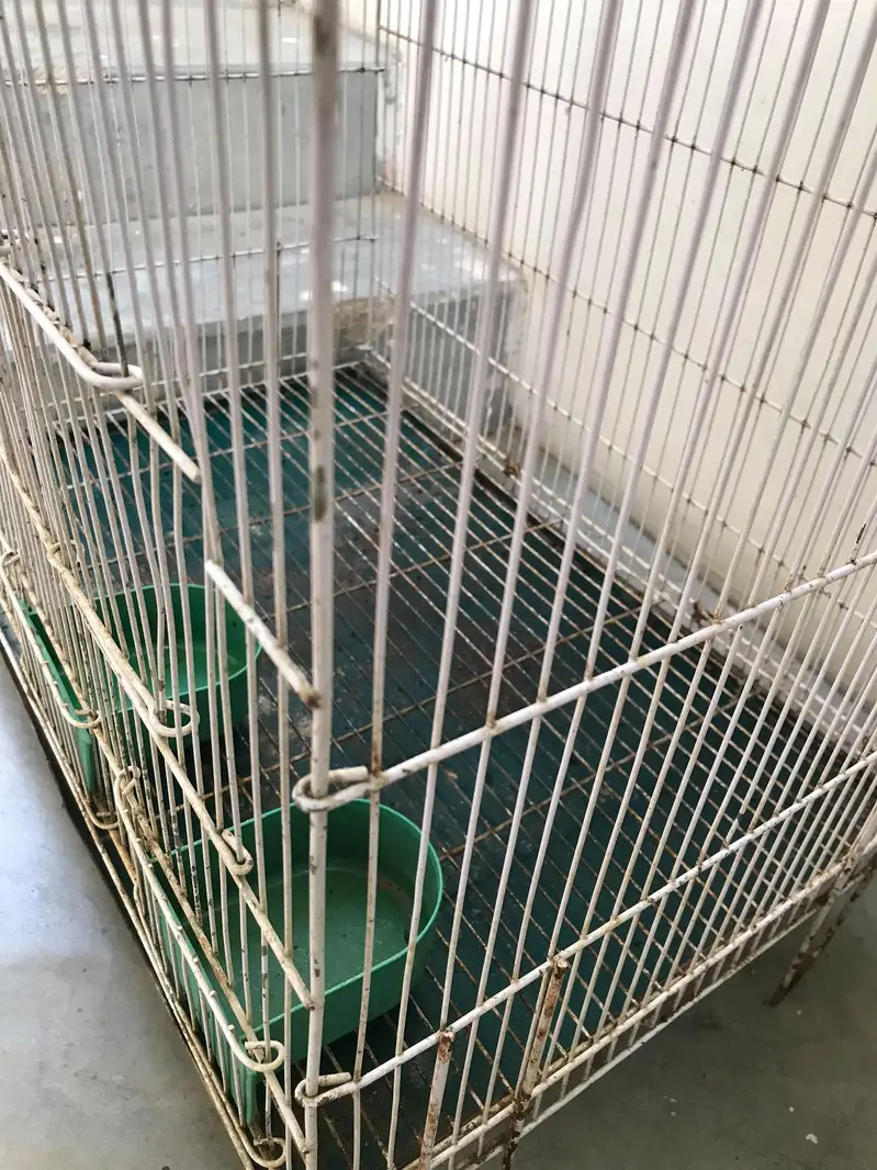 metal cage — photo 4