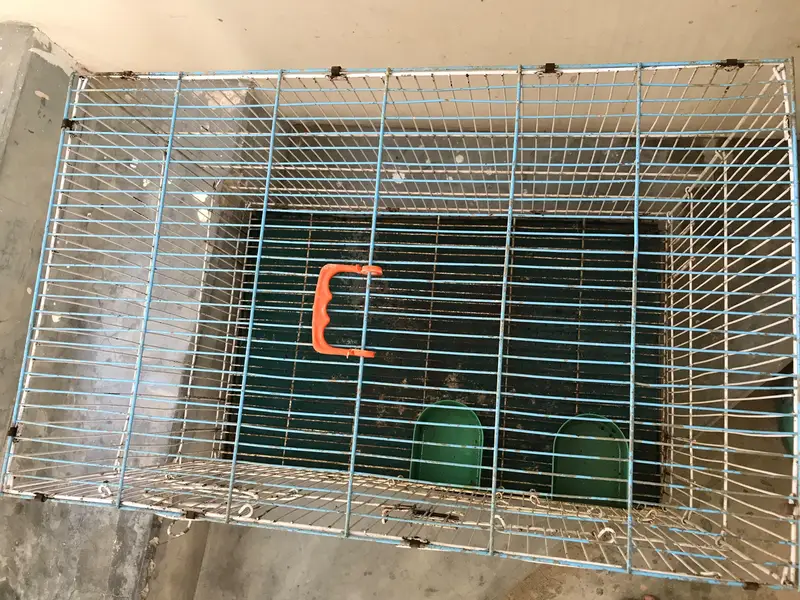 metal cage — photo 5