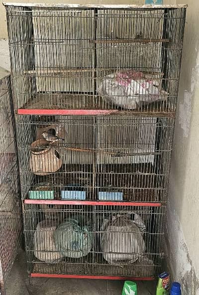 Birds Cage