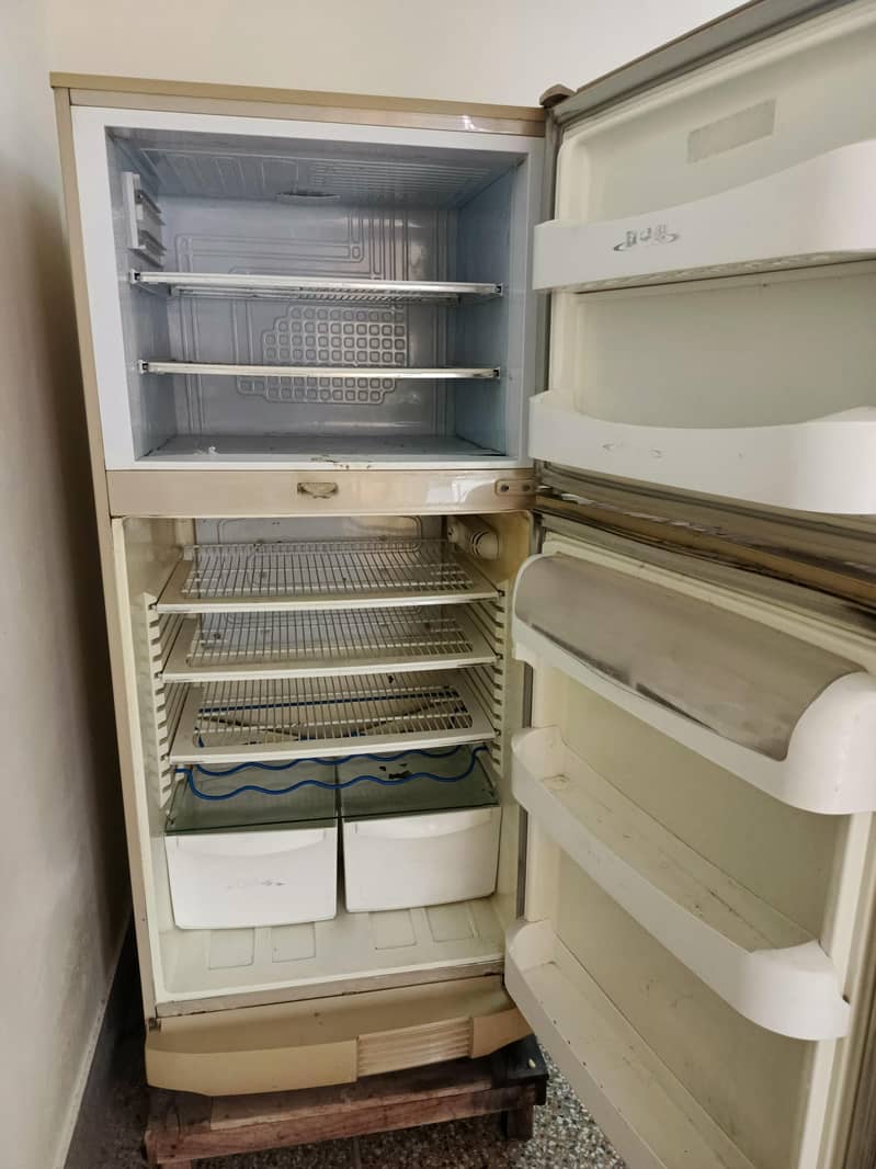 Fridge 1