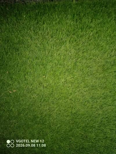 Artificial Grass