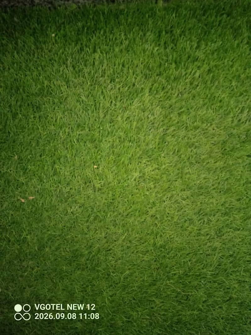 Artificial Grass 0