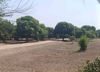 Prime Location Farm House Plot For Sale In Beautiful Budla Road