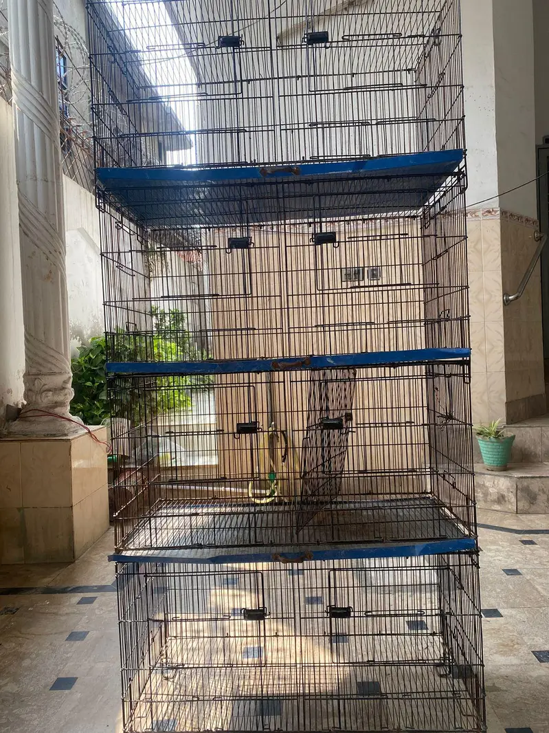 Cage for sale brand new cage 10/9