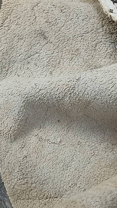 CARPET (used)(baige color). 8/10 condition, in 2 piece