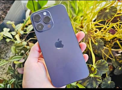 Apple iPhone 14 Pro Max