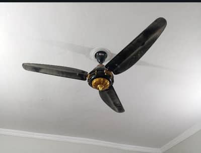 AC DC fan