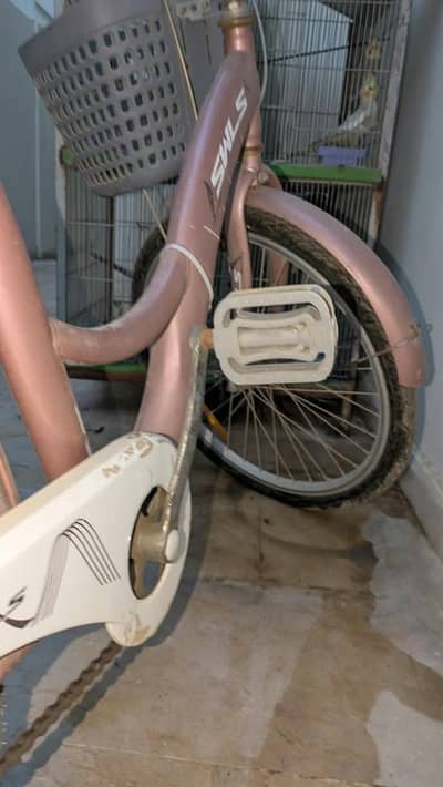 Bicycle