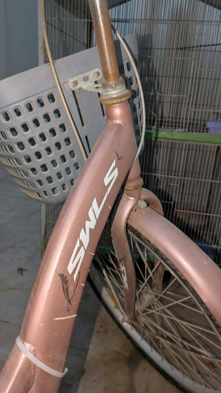 Bicycle 6