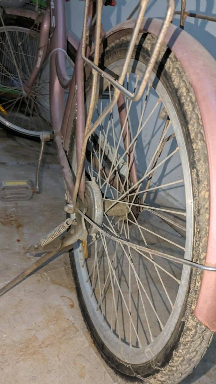 Bicycle 7
