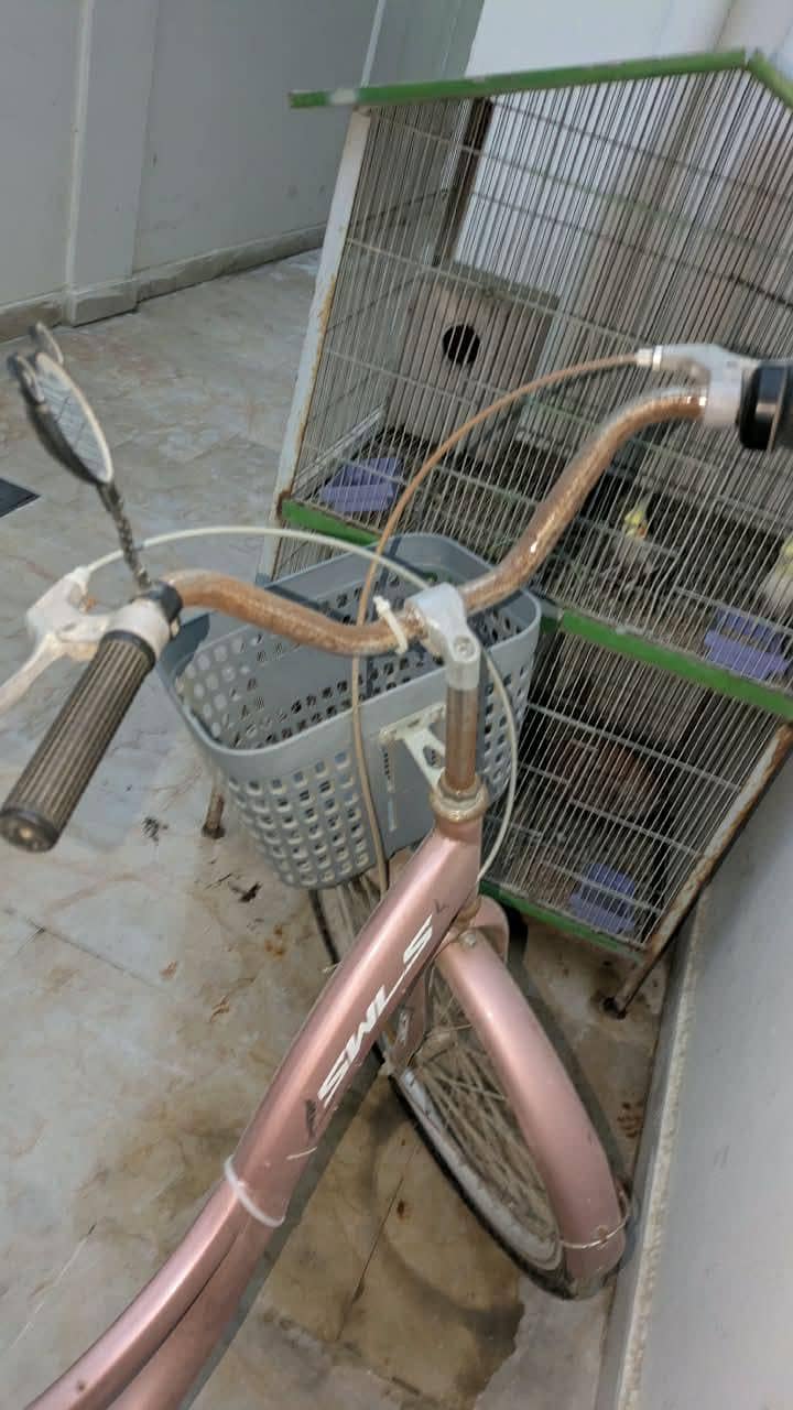 Bicycle 10
