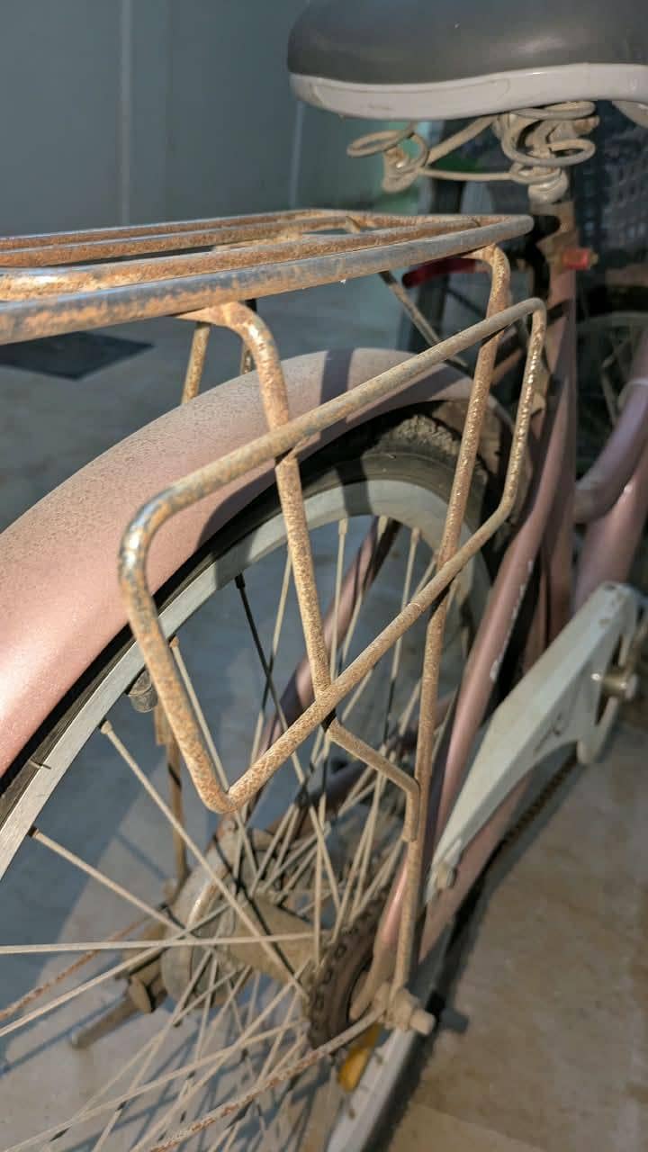 Bicycle 13