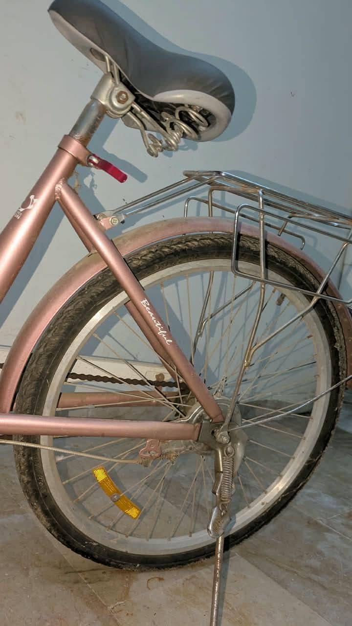 Bicycle 15