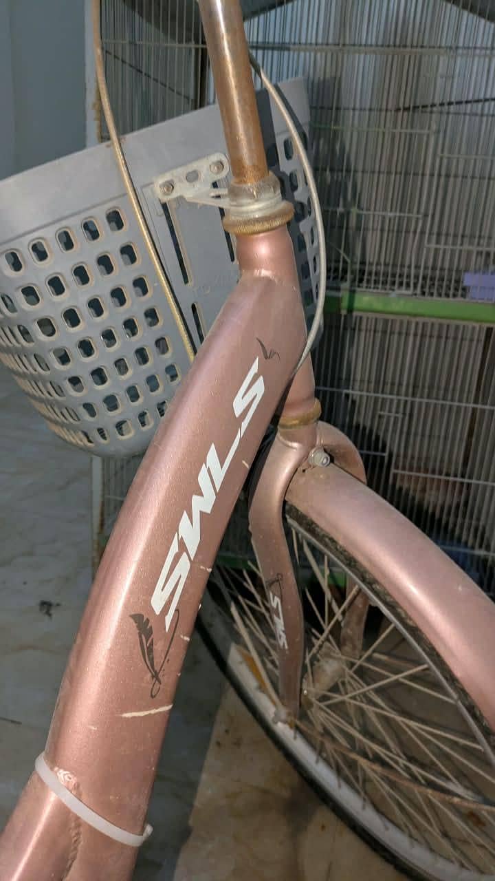 Bicycle 17