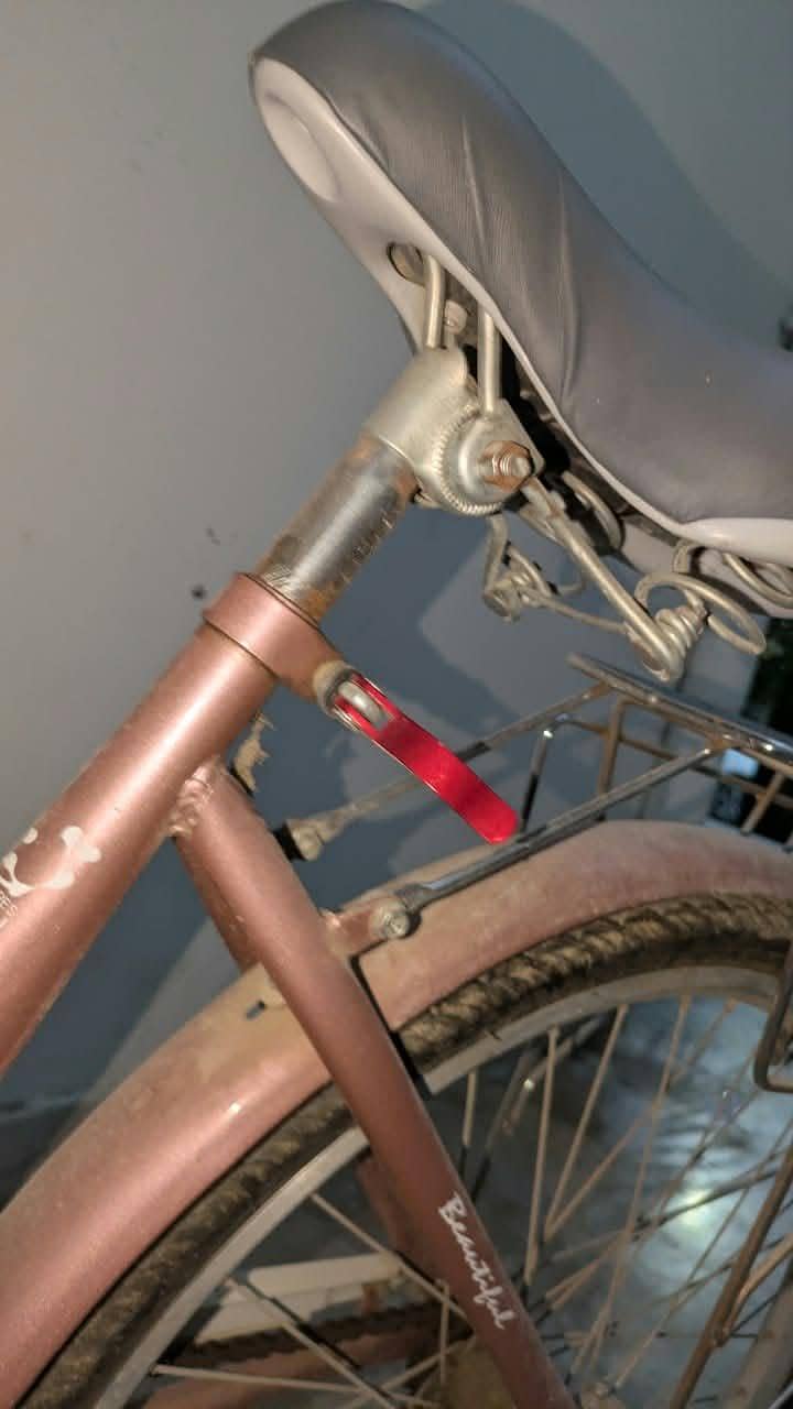 Bicycle 19