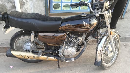 Black gold edition