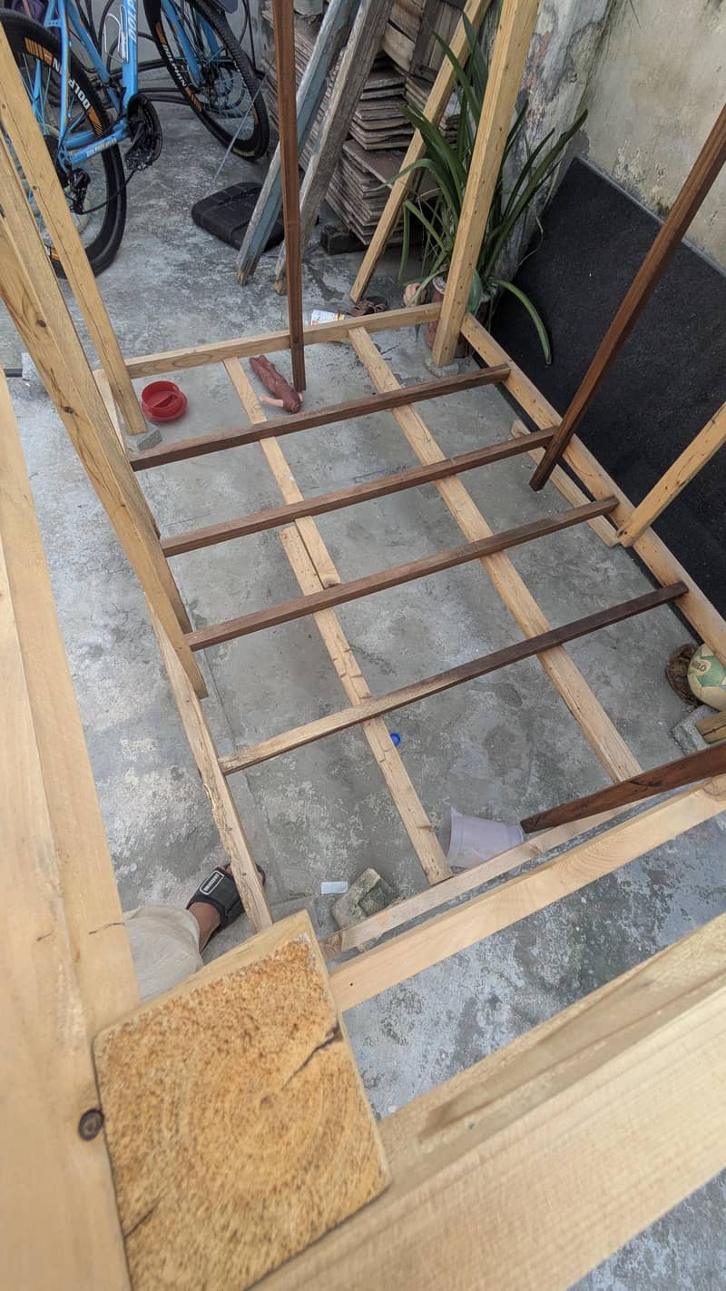 cage structure 4