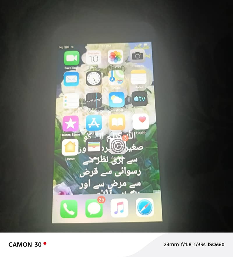 Apple iPhone 6 Plus 1