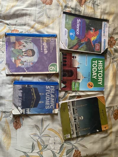 Cambridge curriculum grade 6 books