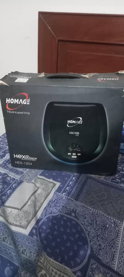homage 12volt ups