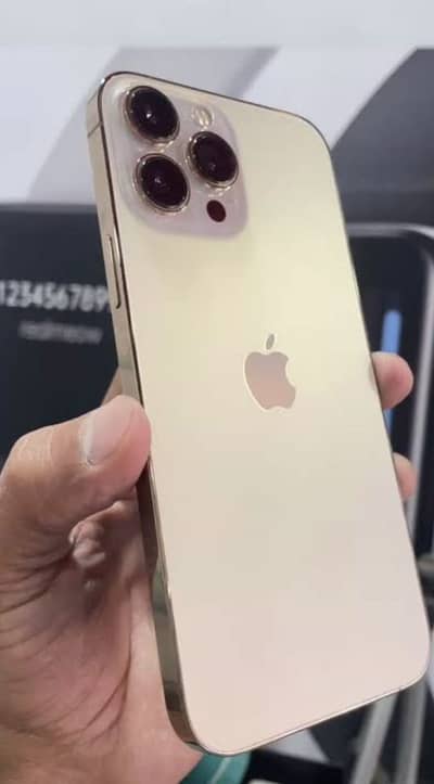 Apple iPhone 13 Pro Max