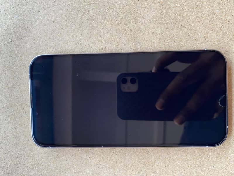 Apple iPhone 13 Pro Max 6