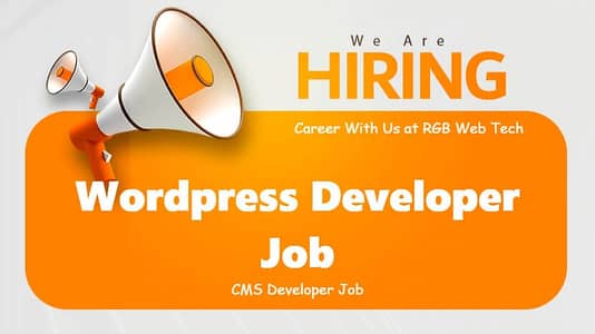 Wordpress Developer