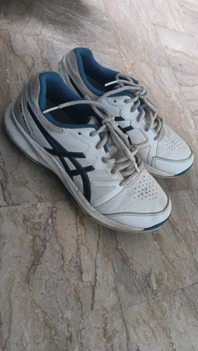 GEL-550 TR