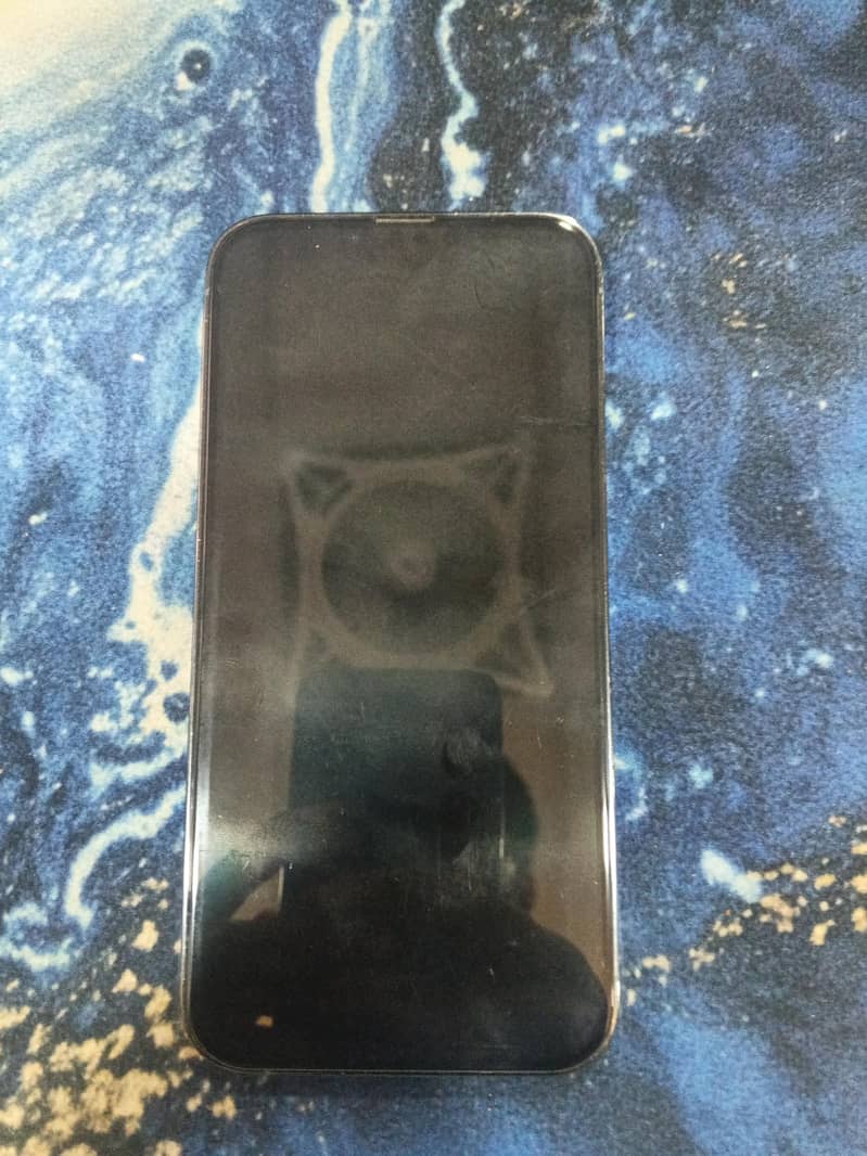 Apple iPhone 13 Pro Max 1