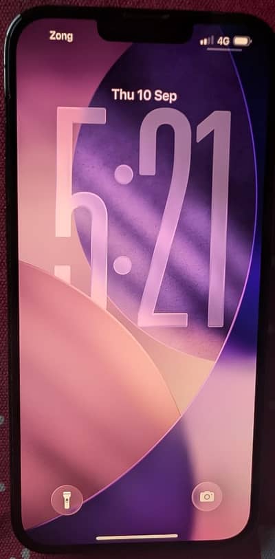 Apple iPhone 13 Pro Max
