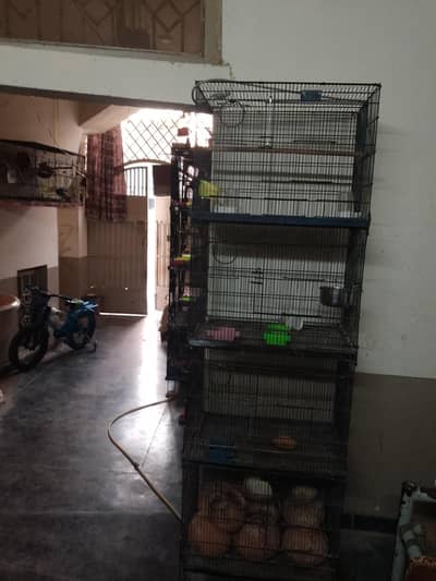 1.5x2 4 portion cage is available for sale