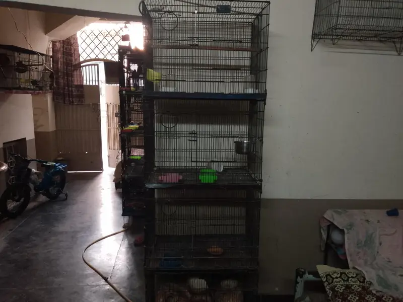 1.5x2 4 portion cage is available for sale — photo 2