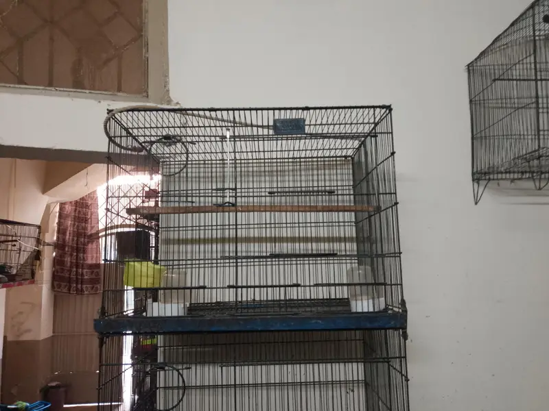 1.5x2 4 portion cage is available for sale — photo 5
