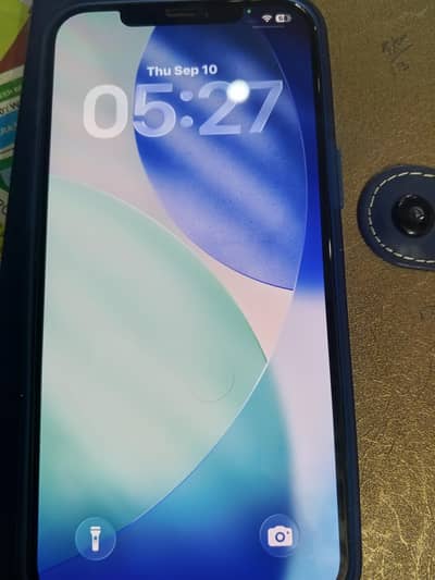 Apple iPhone 12 Pro Max