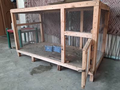 Hens Cage