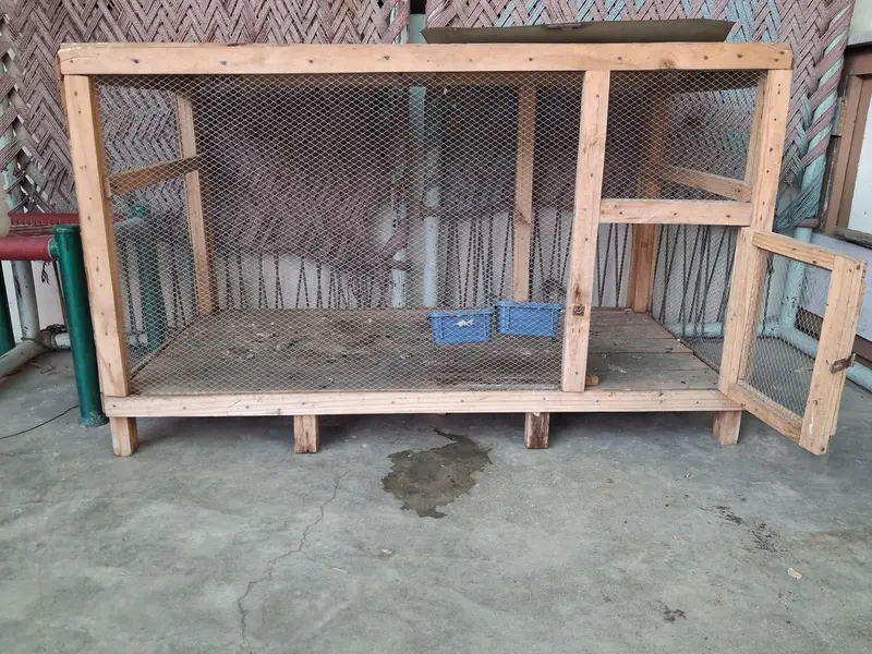 Hens Cage — photo 2