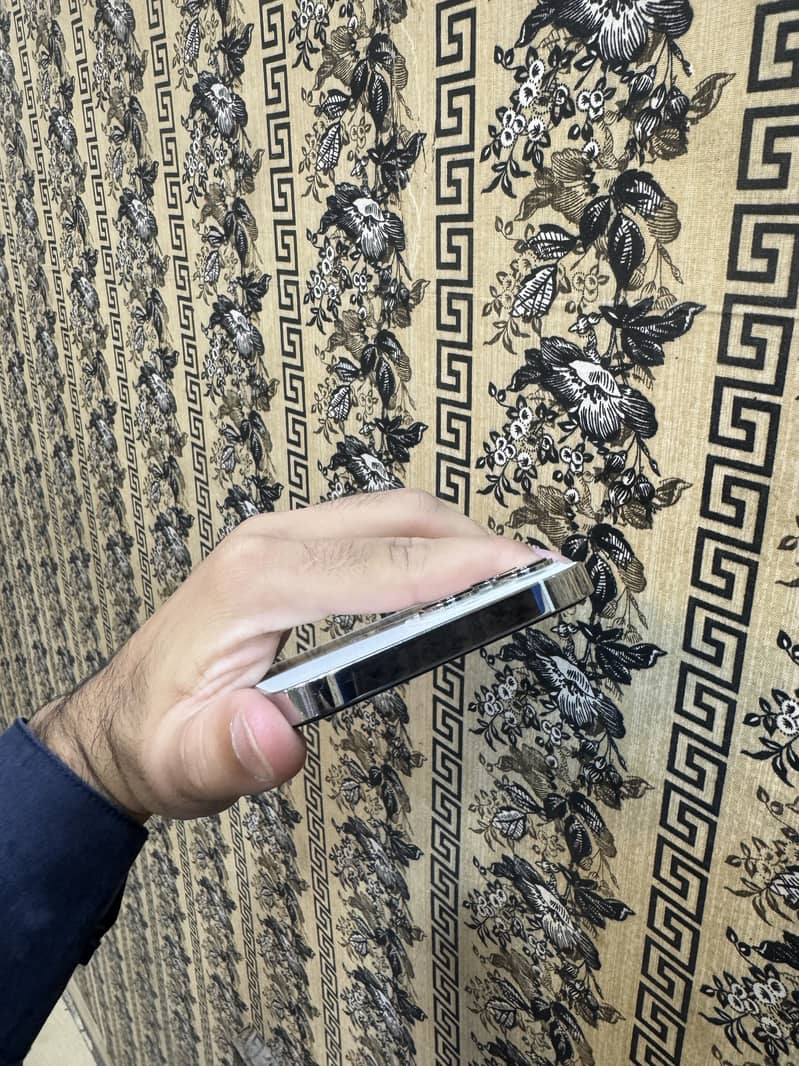Apple iPhone 13 Pro Max 1