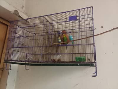 2 portion cage ha mazoobt vir ma ha