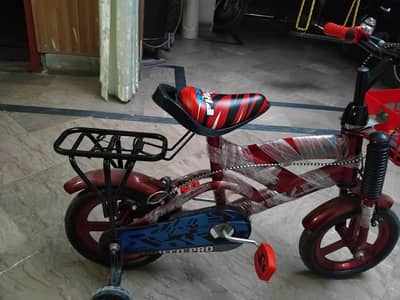 Bicycle