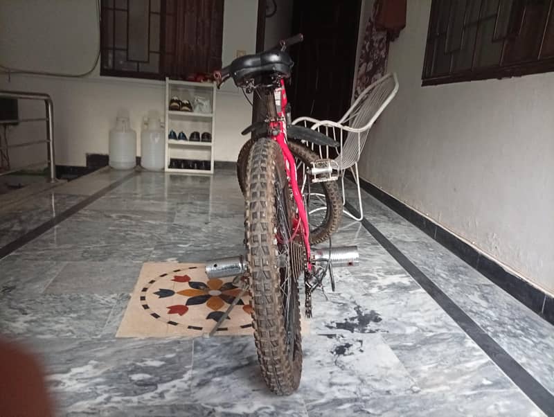mountain cycle 6