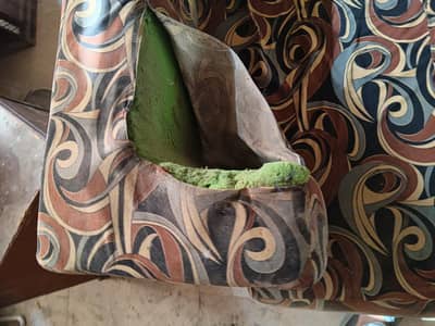 sofa for sale