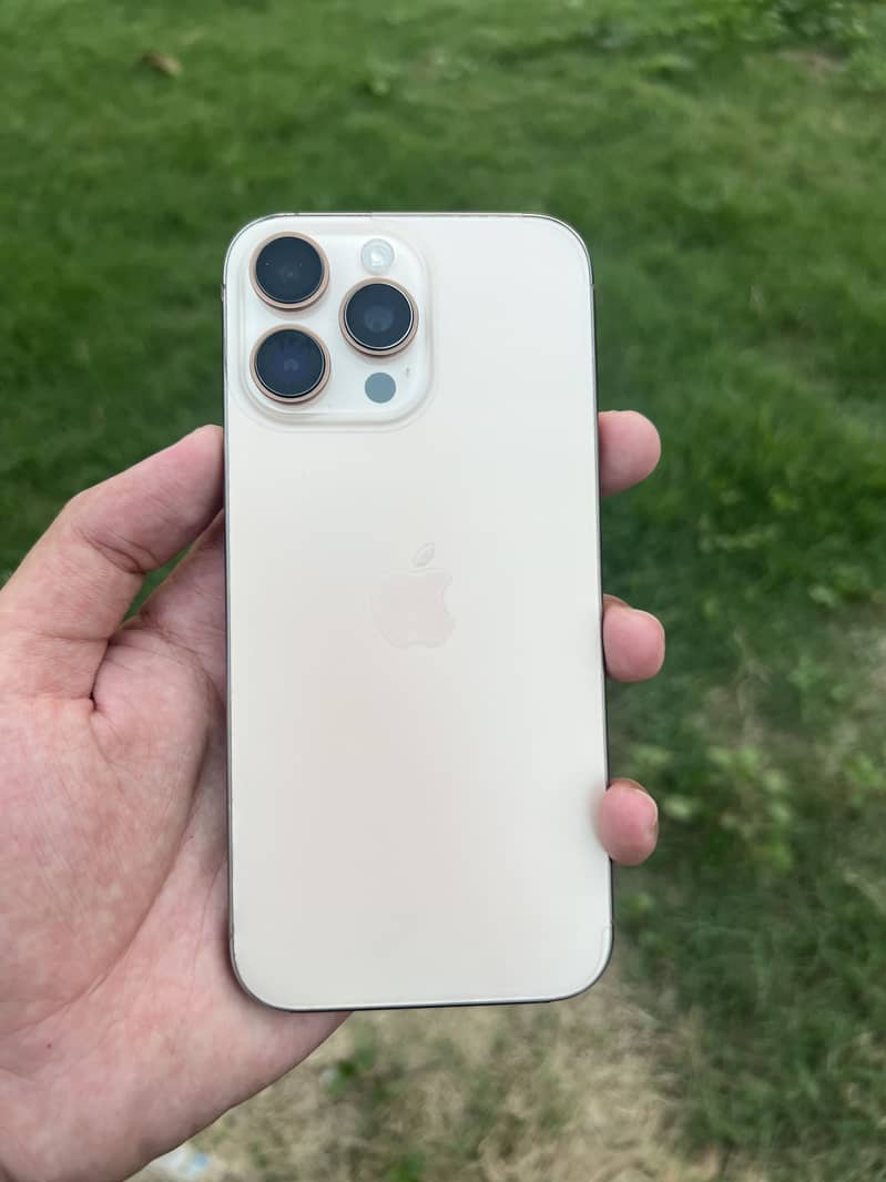 Apple iPhone 16 Pro Max 3