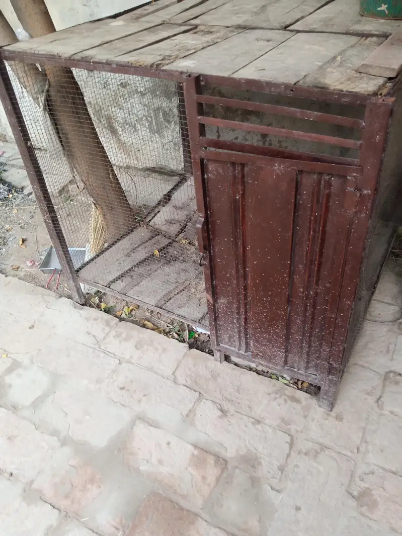 Hen iron Cages — photo 2
