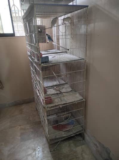 urjent sell 6 potion cage box option wala