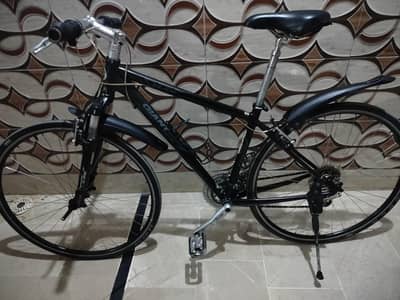 Giant bicycle