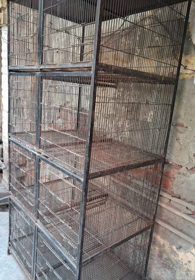 birds cage